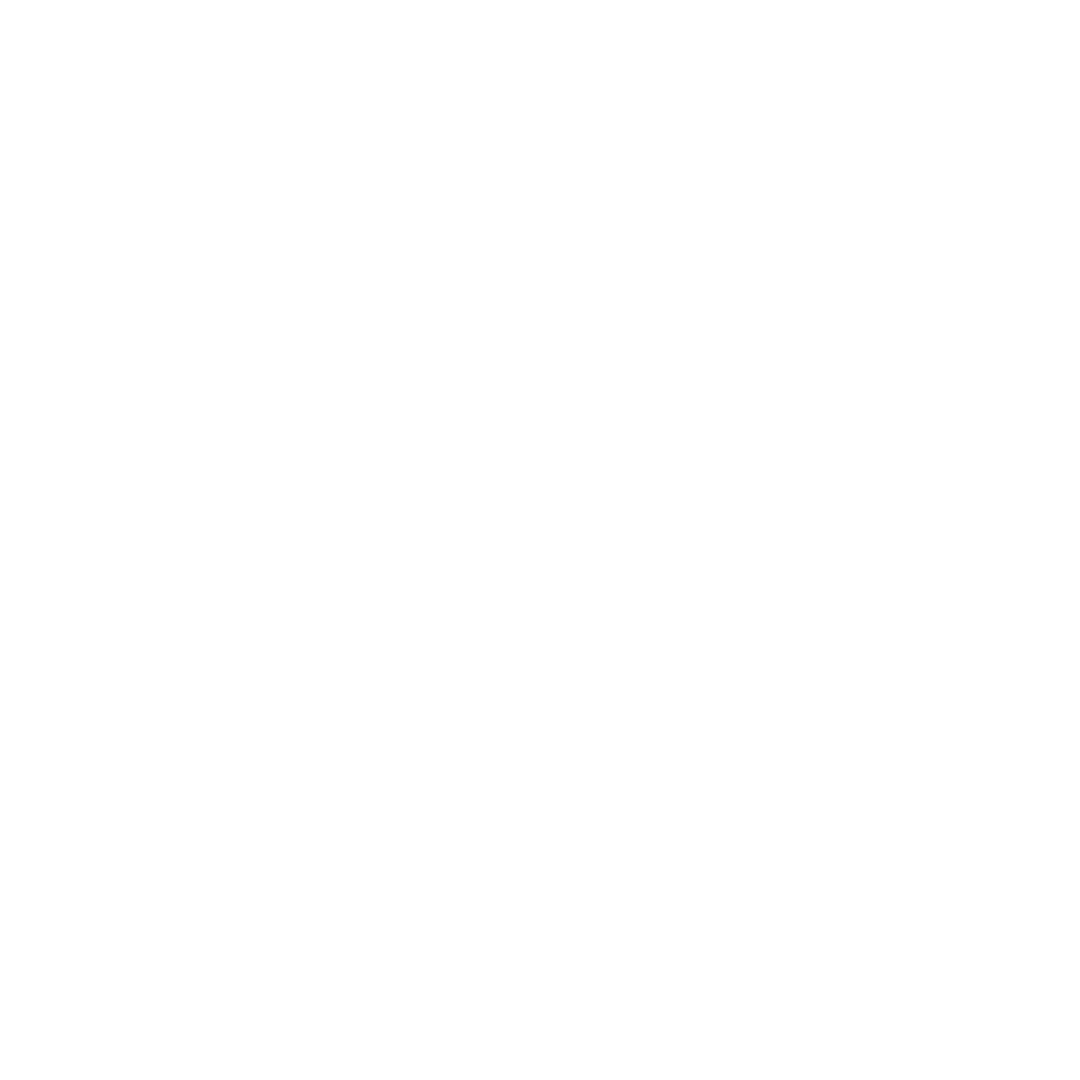 Ricardo Droguett
